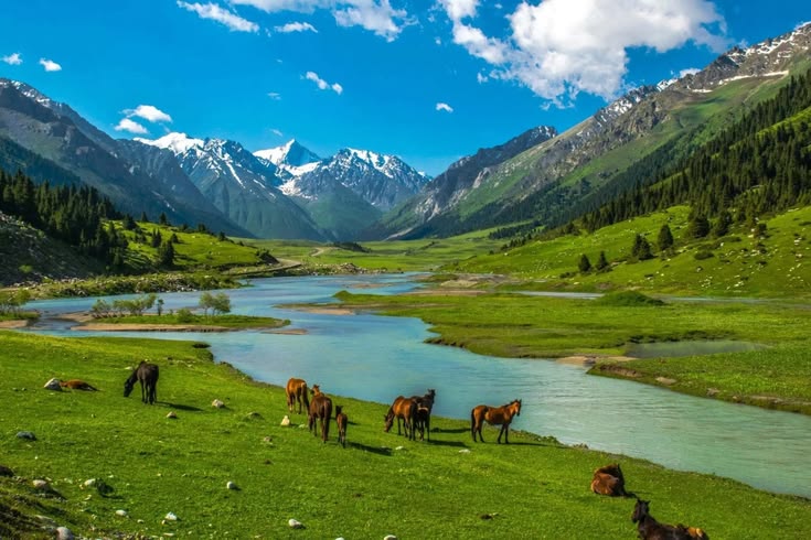 Kazakhstan Steppe & Tian Shan
